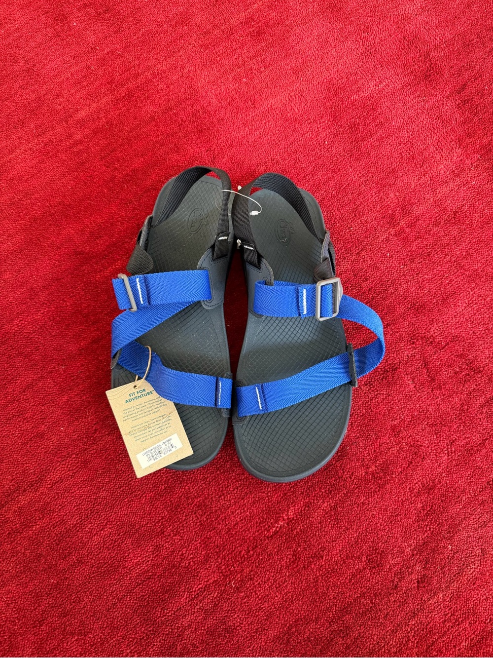 NWT Chaco Lowdown Sandal Sz 10